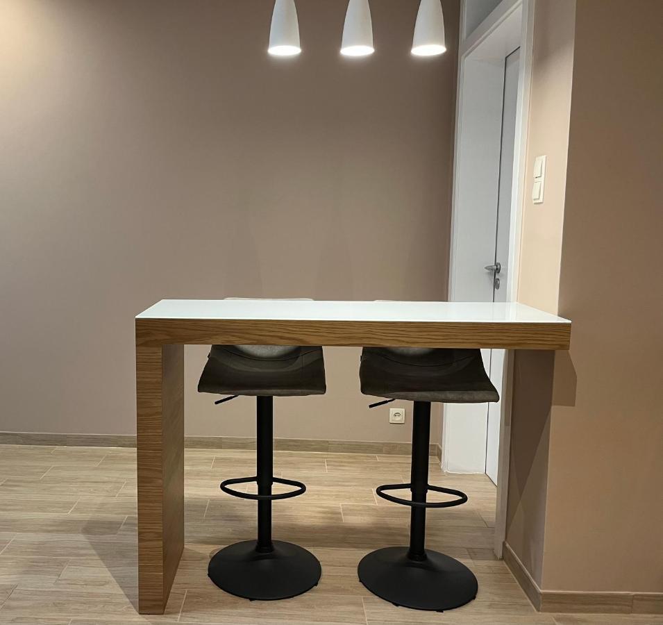 City Center Apartment Katowice Extérieur photo